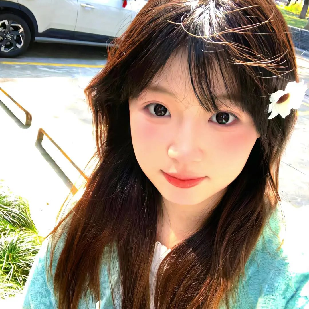 屋顶上的轻骑兵